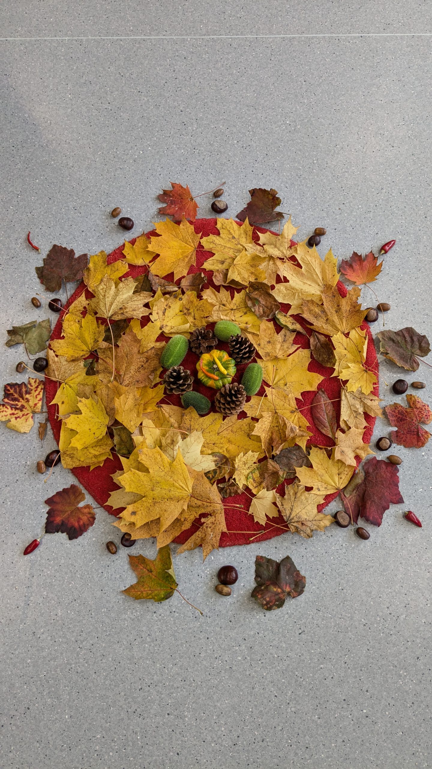 Ein Mandala aus Blättern, Eicheln und Tannenzapfen.